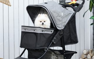 cão branco pequeno dentro de um carrinho de passeio na cor cinza e preto