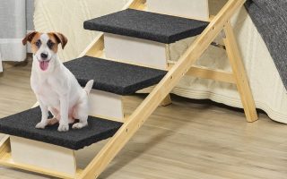 cão em cima de uma escada para animais de estimaçao de madeira