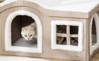 casa para gato dobrável na cor branca com bege e um gato dentro