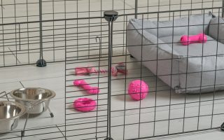 parque para animais de estimação com uma cama, brinquedos e tigelas no seu interior