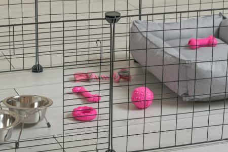 parque para animais de estimação com uma cama, brinquedos e tigelas no seu interior