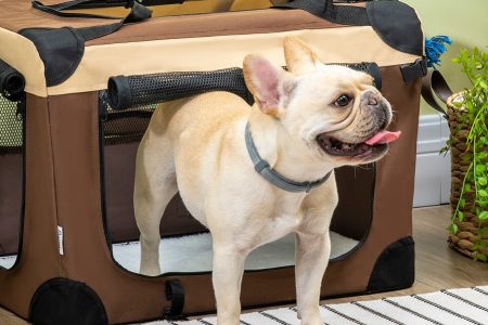 cão saindo de uma transportadora para cães