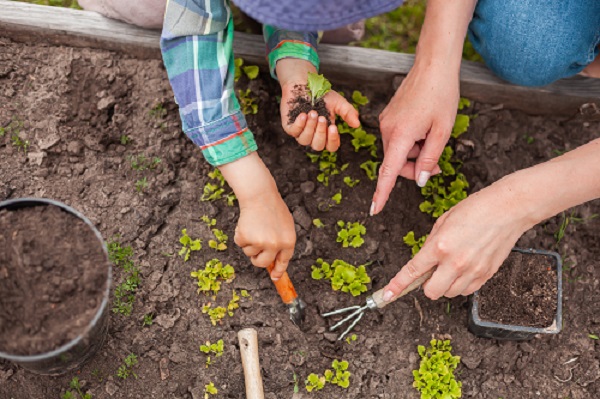 duas pessoas cuidando de uma horta na primavera