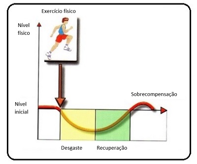 principio da adaptação