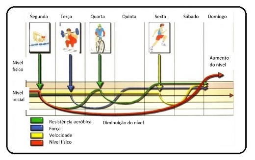 princípio da alternância