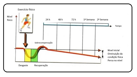 principio da continuidade 