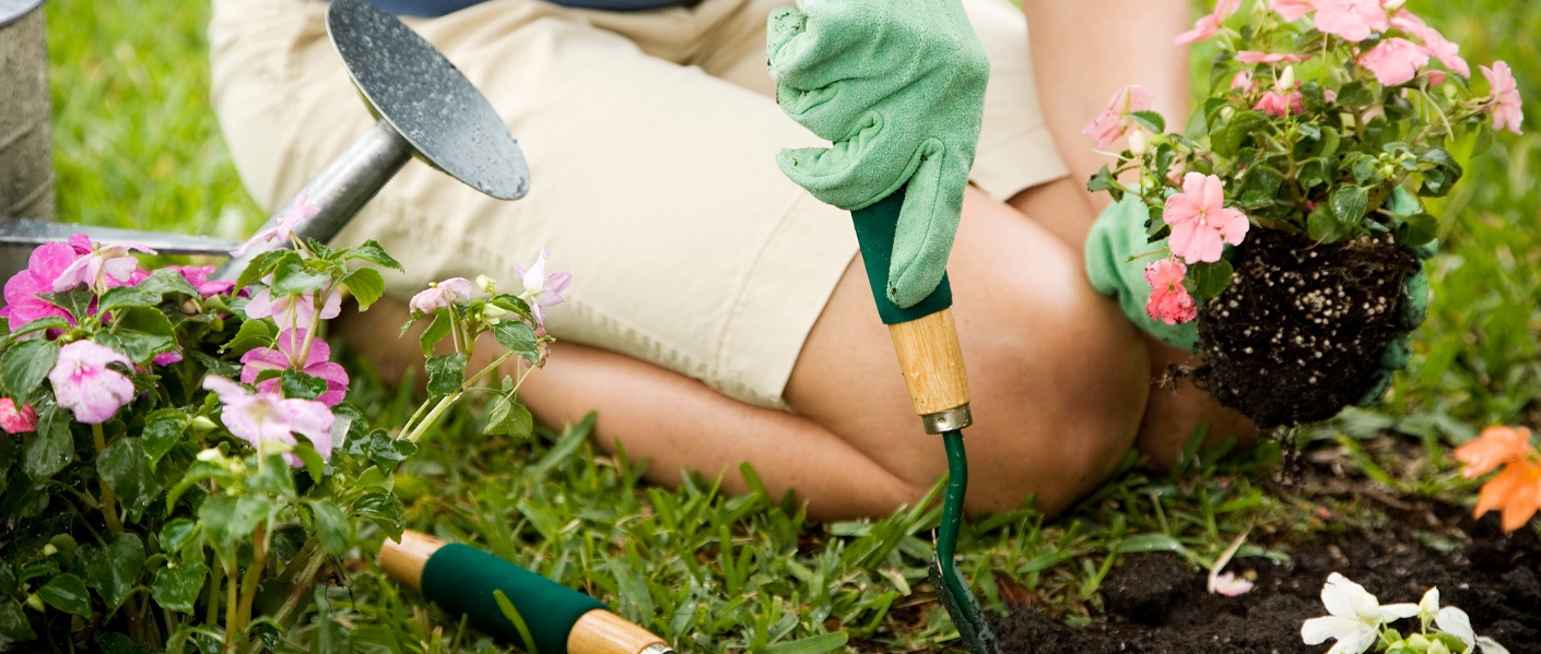 mulher cuidando de um jardim