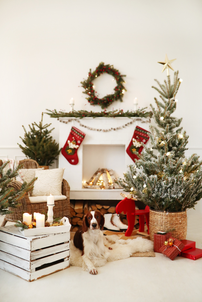 árvore de natal com base em cesta de vime